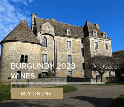 Burgundy 2023 En Primeur